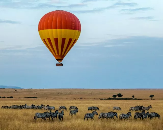 Nairobi Wildlife Expedition